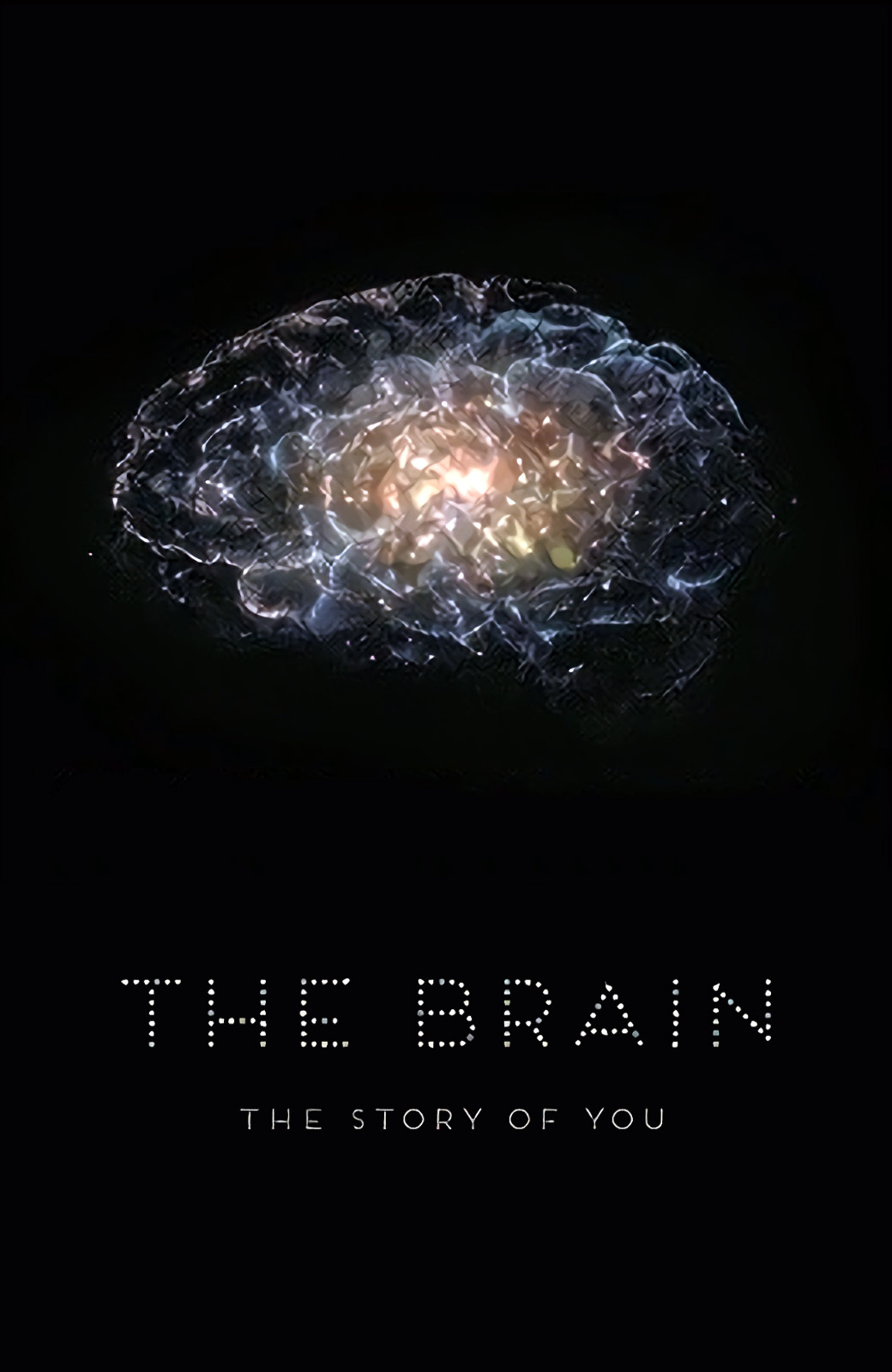 纪录片《深入大脑》（2015）